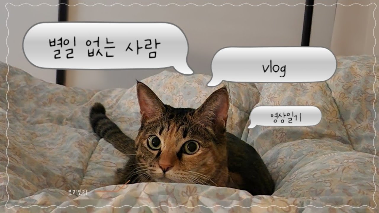 vlog | 보리보리 |  다오라민포 | 제주 호떡 | 화이트리에 후기 