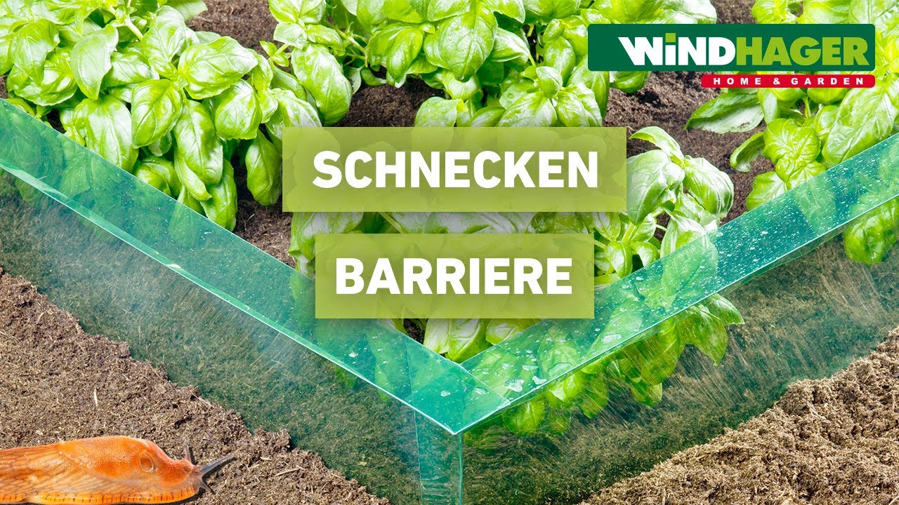 02414 Schneckenbarriere SMALL - Windhager Home & Garden