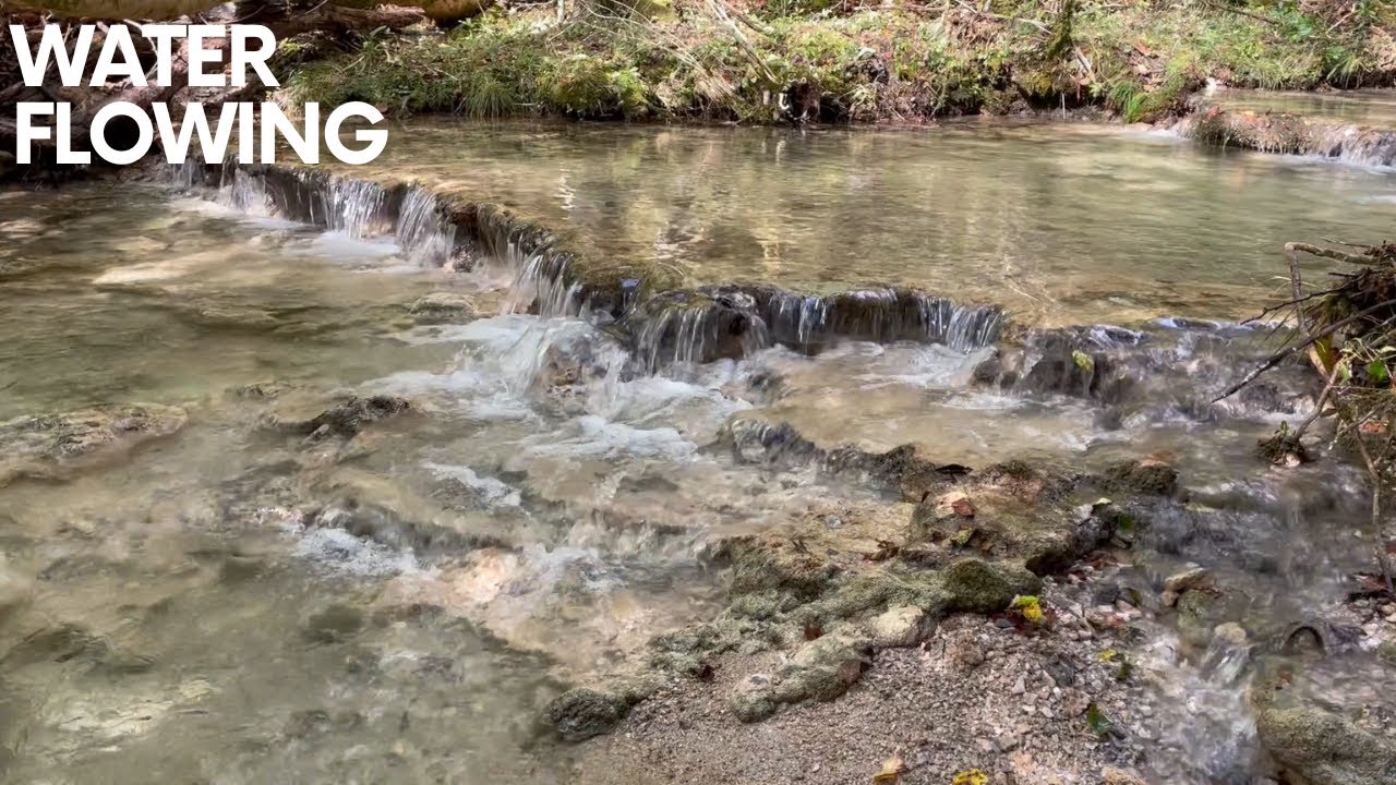 Water Flowing over Rocks in the Forest, Babbling Brook Nature Sounds