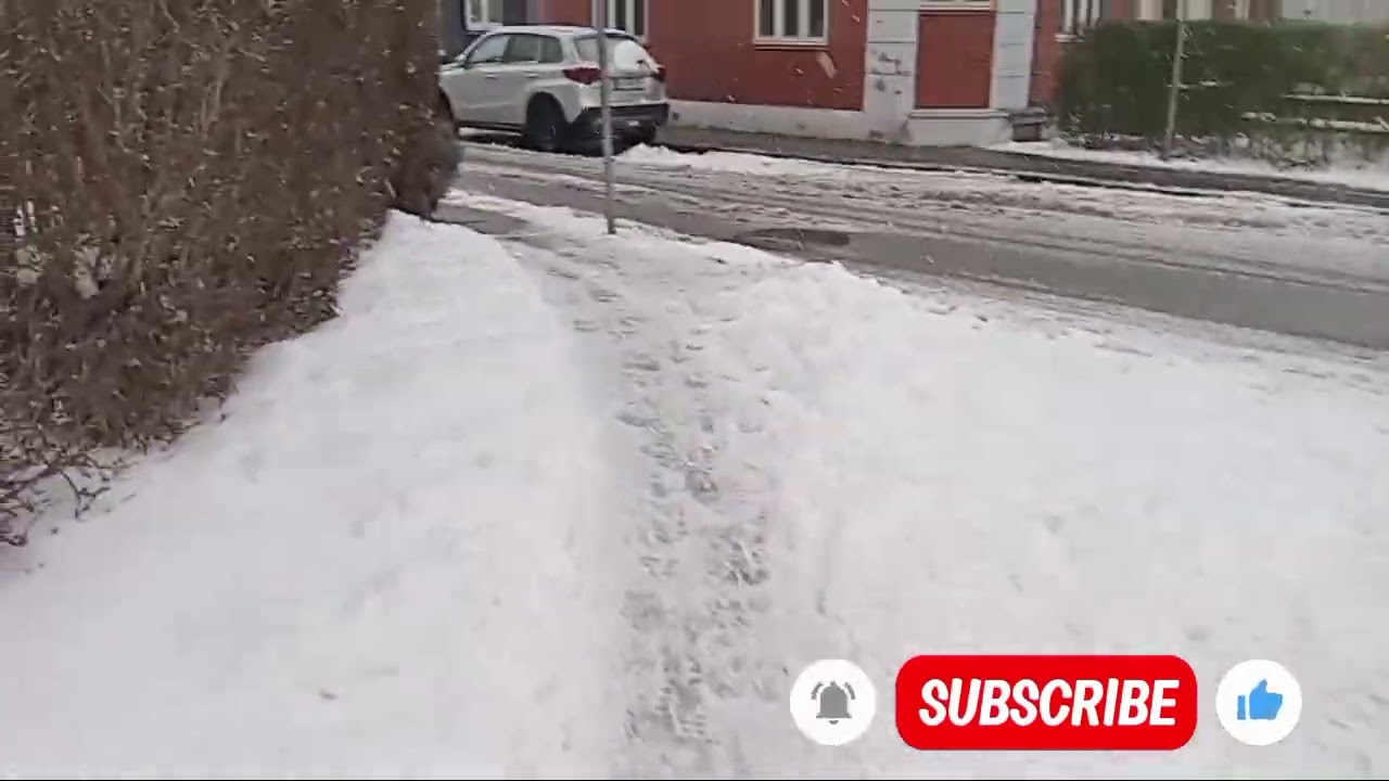 snowing in denmark horsense ❤️❤️