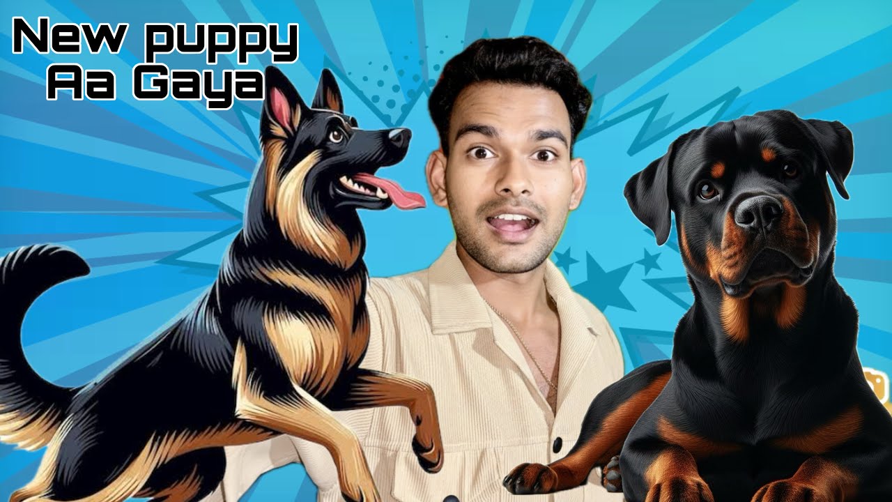 New puppy aa Gaya 💬♥️ #jarmansafeddog #rottweiler #dailylifevlog 