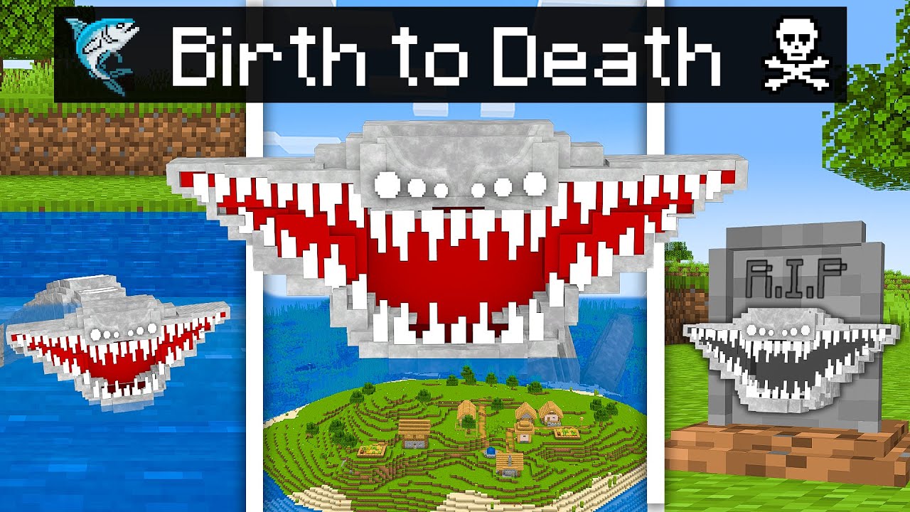 РОЖДЕНИЕ до СМЕРТИ ЭЛЬ ГРАН МАХА в Minecraft!
