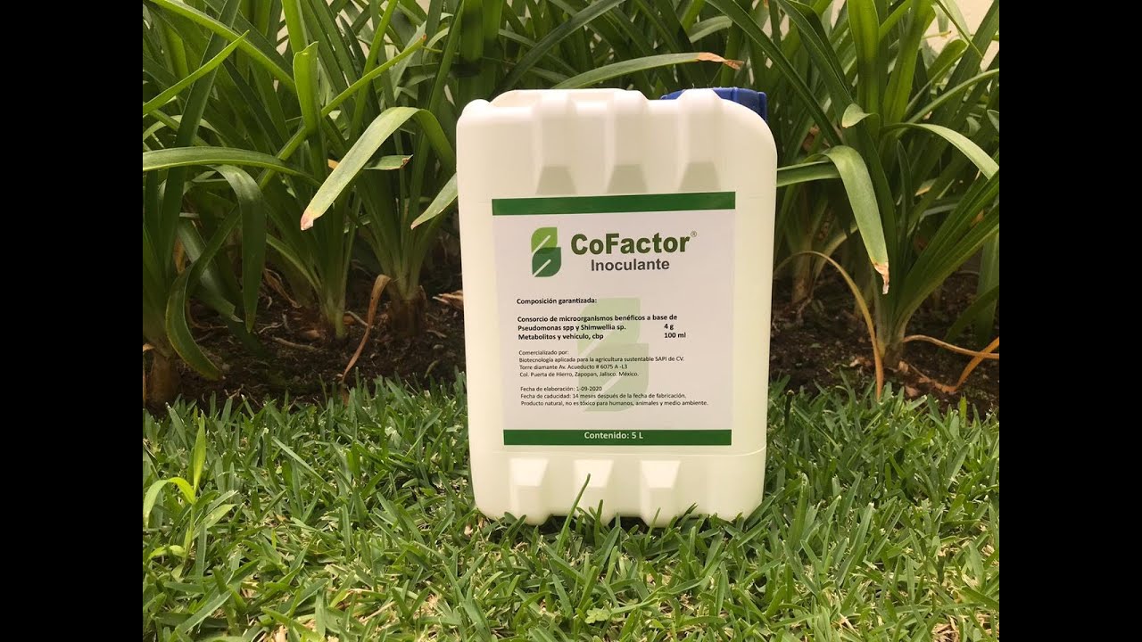 CoFactor