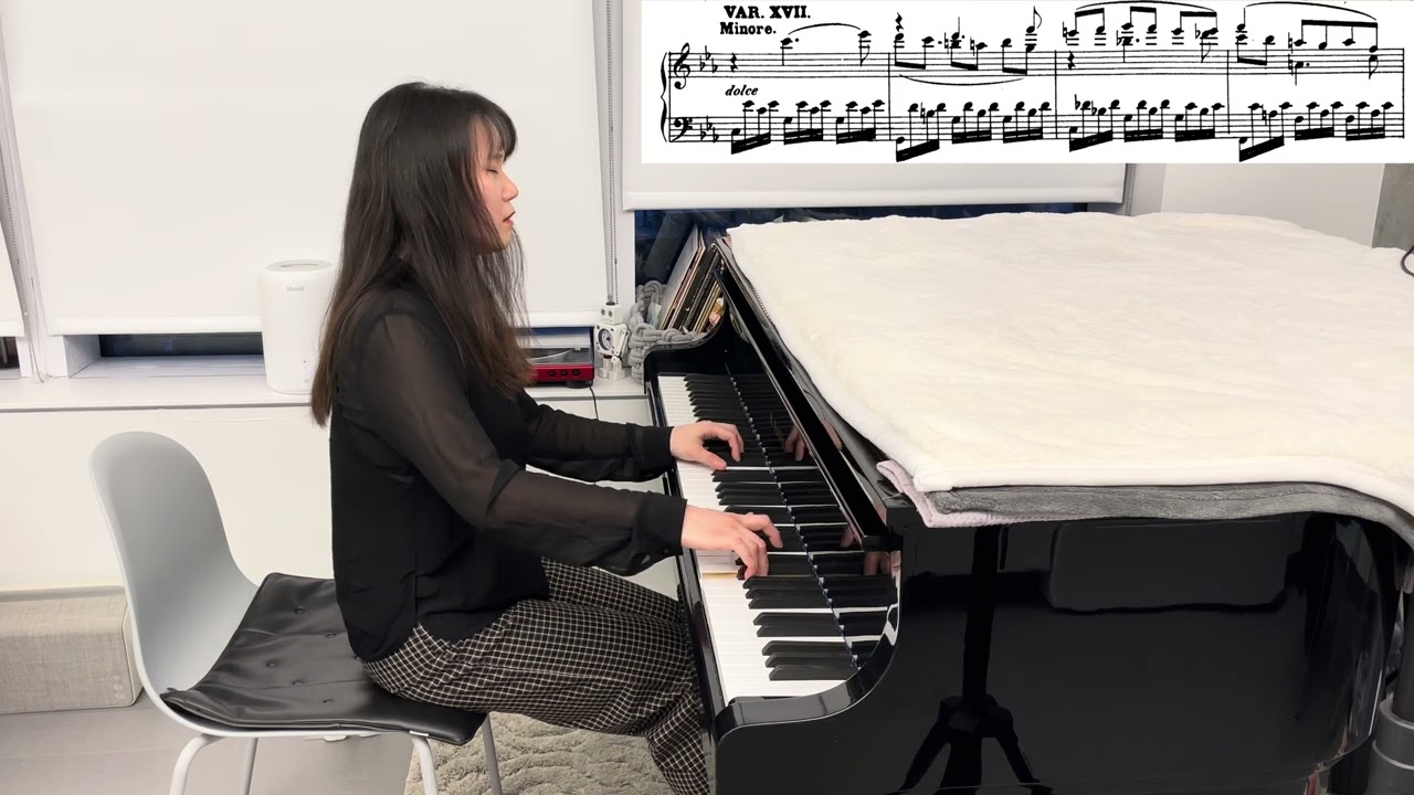 Beethoven 32 Variations on an Original Theme in C minor, WoO 80 | 베토벤 자작 주제에 의한 32 변주곡 (악보첨부)