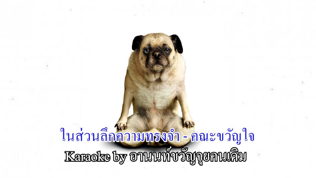 [คาราโอเกะ] คณะขวัญใจ - ในส่วนลึกความทรงจำ by #อานนท์ขวัญจุยคนเดิม