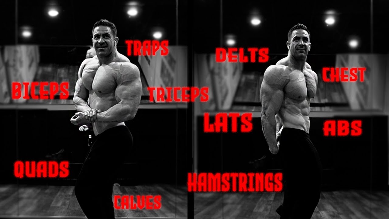 This is The Best Way to Run a Bro Split For Size!
