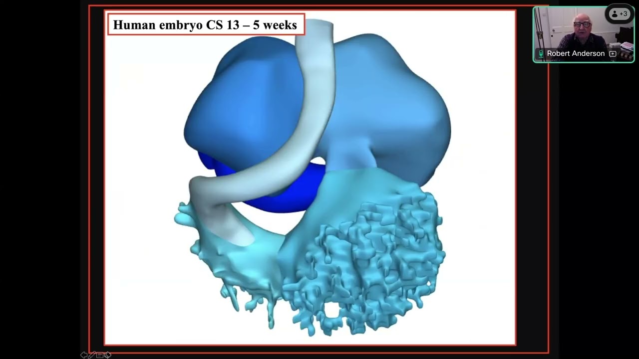 Anatomy Session #2 – Communications