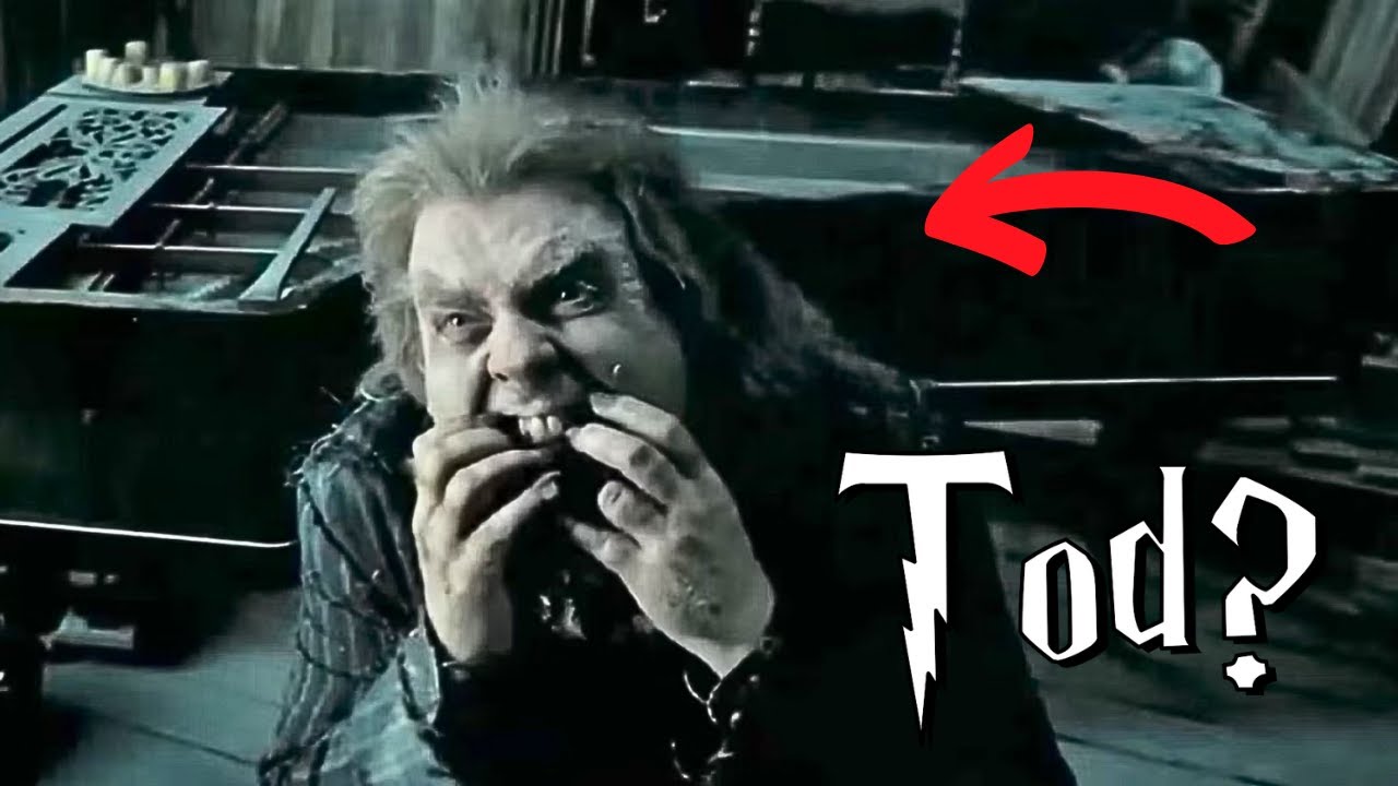 Der BRUTALE Tod von Peter Pettigrew (in den Filmen NICHT ZU SEHEN) - Harry Potter Wissen
