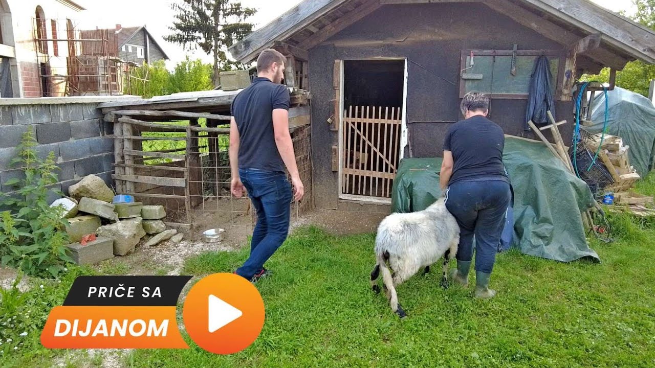 Kurban iz Austrije! Gledaoci pomažu!