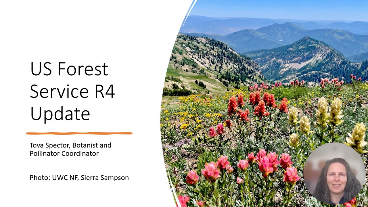 USFS Intermountain Region Updates
