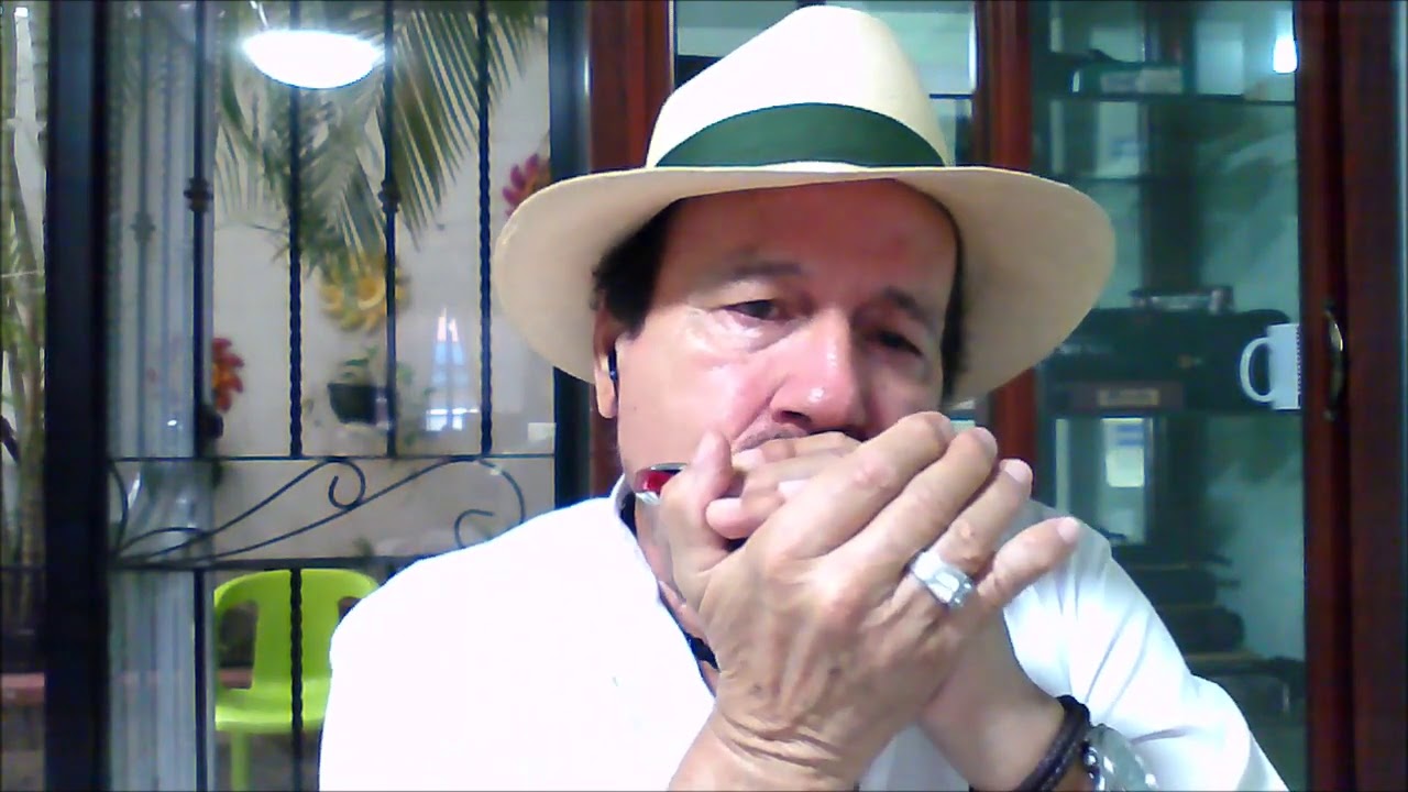 Tornerò | I Santo California | Harmonica by Harmonicalf