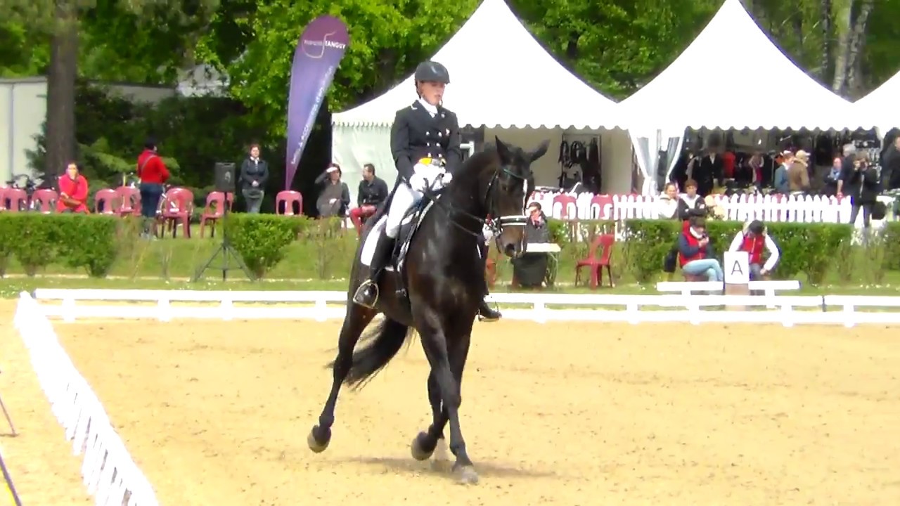 🎠 Concours international de dressage Saumur 🎠