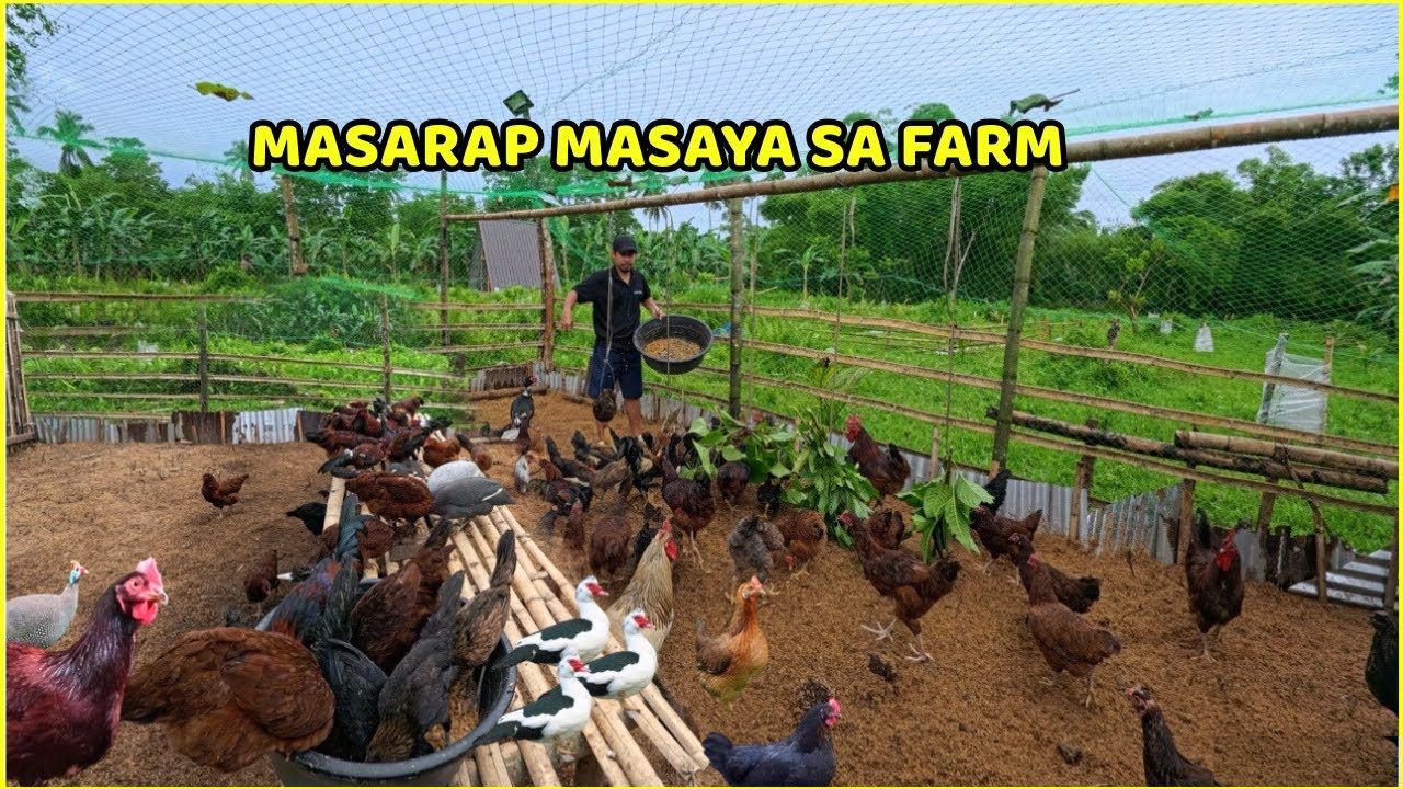 MASARAP AT MASAYA SA FARM 
