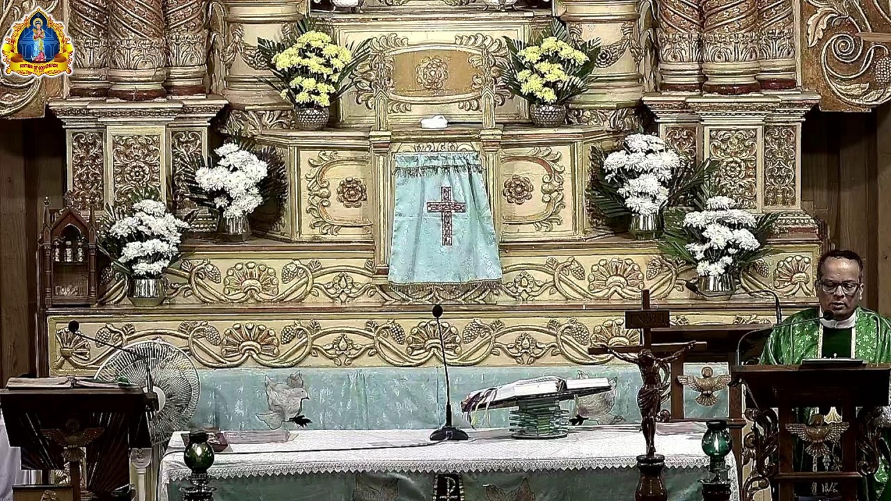 Fifth Sunday In Ordinary Time,  8th Feb 2026.