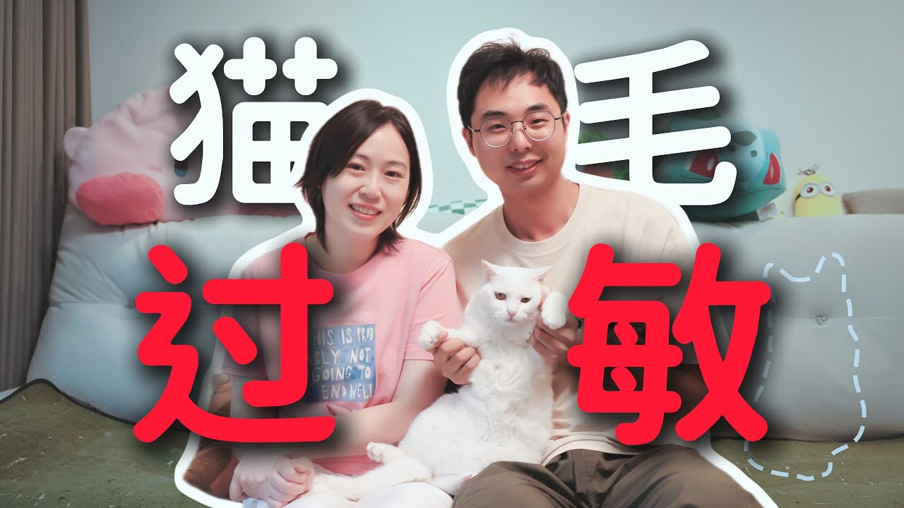 🤧猫毛过敏家庭，如何科学养猫？🐈️