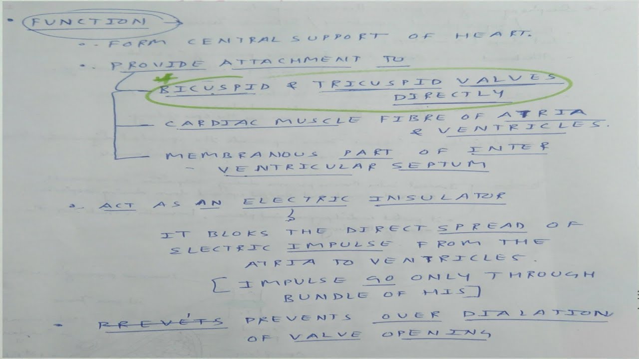 Fibrous Skeleton of Heart - 1 | TCML | The Charsi of Medical Literature