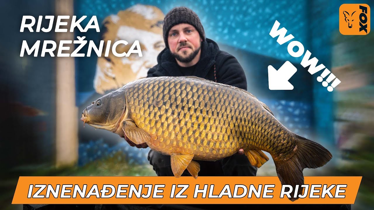 ZIMSKI Šaranski ribolov na RIJECI (prekrasne ribe)