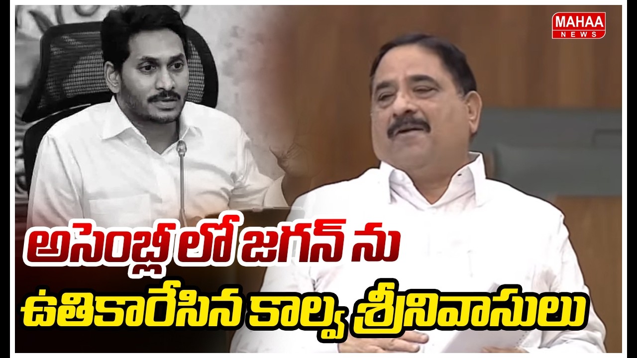 అసెంబ్లీ లో జగన్ ను ఉతికారేసిన కాల్వ శ్రీనివాసులు Kalva Srinivasulu Fire On YS Jagan