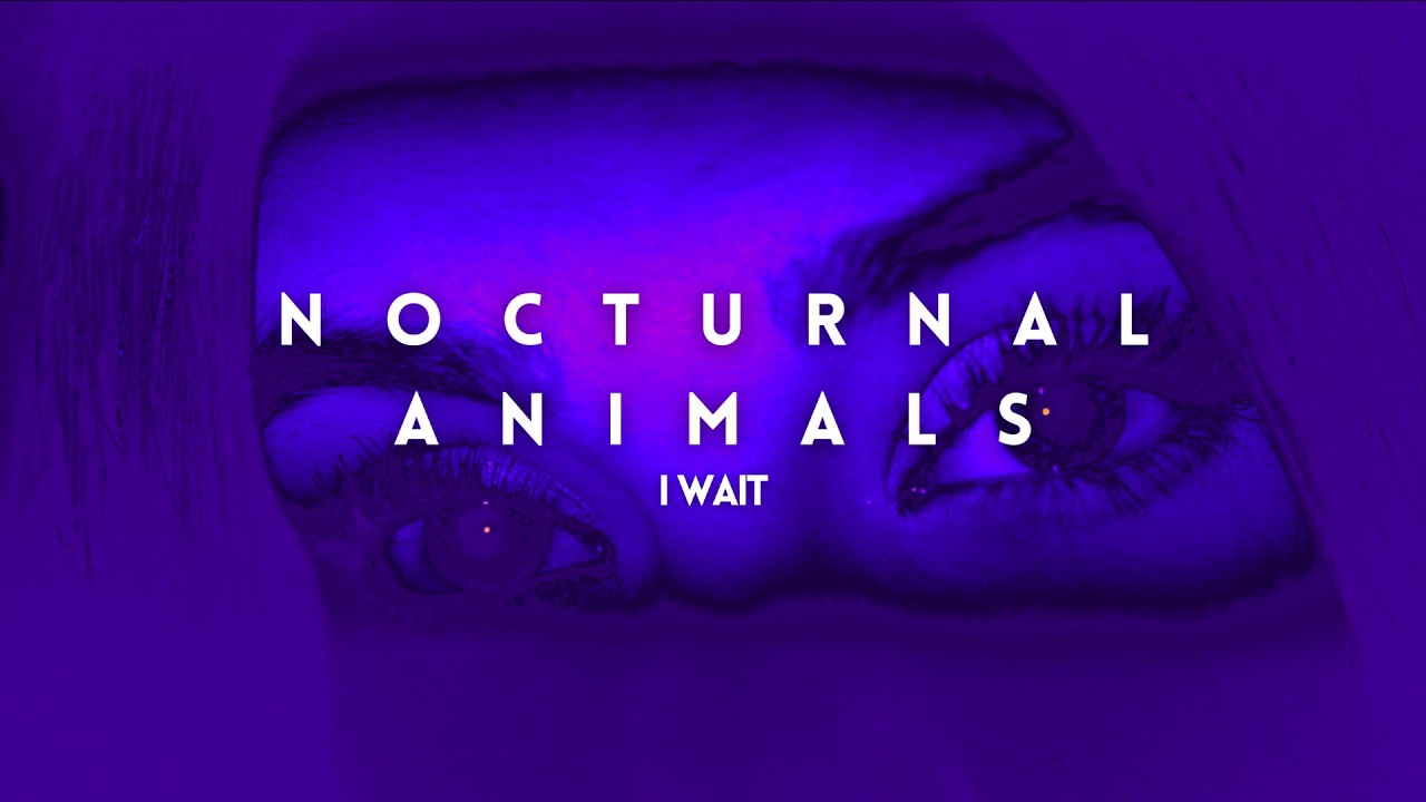 Nocturnal Animals - I Wait