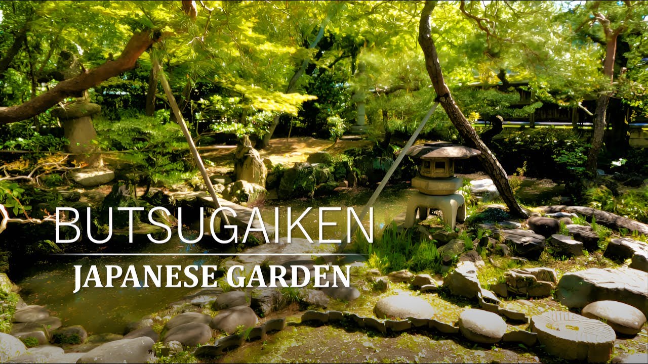 Tea Garden & Pond Garden Tour| Japanese garden with sunlight filtering through the trees|BUTSUGAIKEN