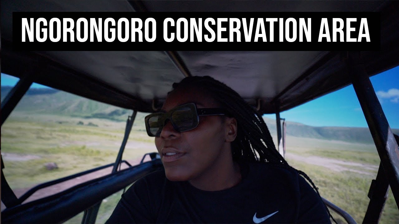 MY FIRST SAFARI - NGORONGORO CONSERVATION AREA - DAY 4 - 🇹🇿 TANZANIA