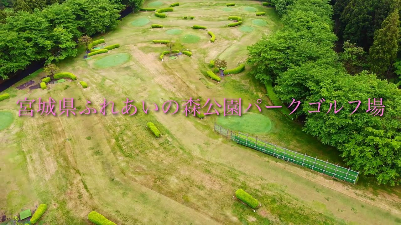 宮城県のふれあいの森公園パークゴルフ場の様子です。春先のこの時期でも最高の芝状態だと思います。 ナゾＰＧ #パークゴルフ #parkgolf #golf #ゴルフ #파크골프
