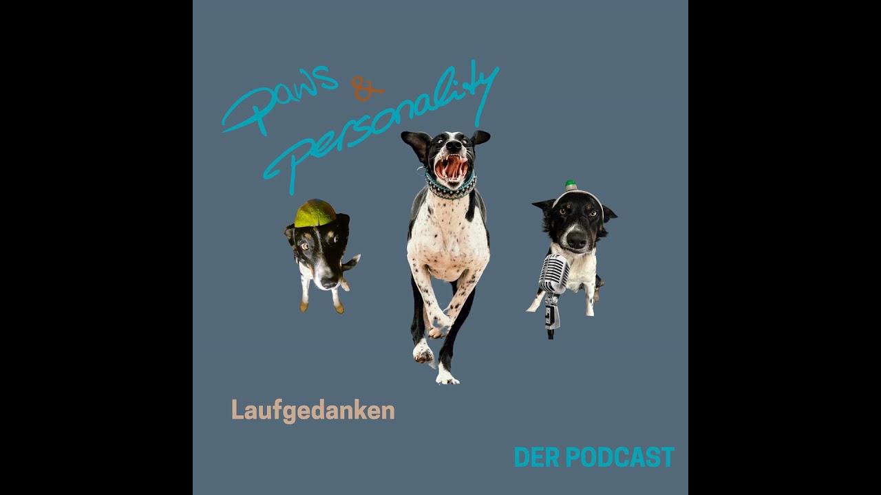 Laufgedanken - Wenn die Einkäufe rutschen, lacht der Border Collie... oder so ähnlich