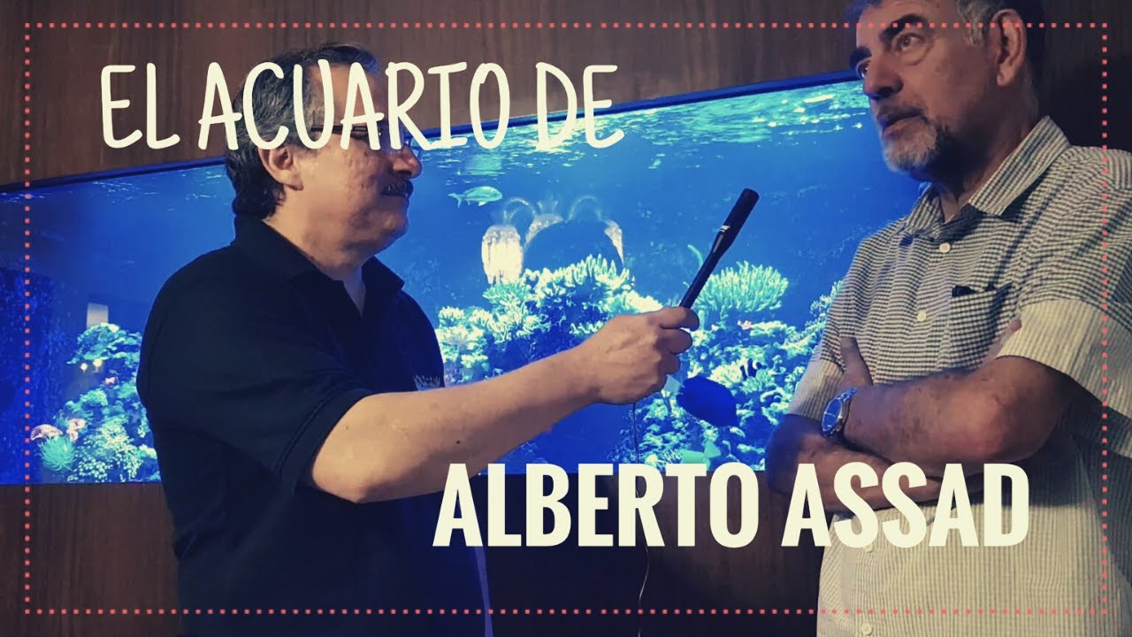 Una charla para aprender con Alberto Assad