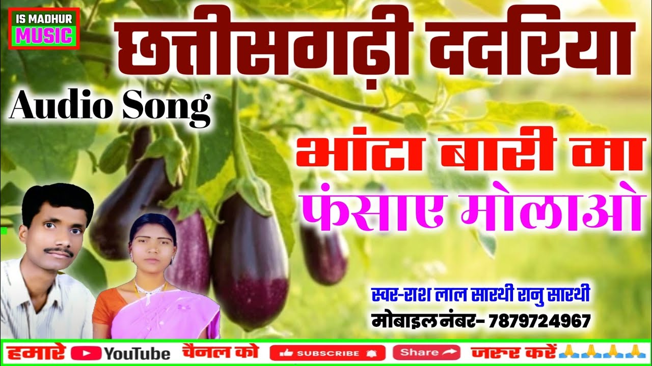 छत्तीसगढ़ी ददरिया गीत-भांटा बारीमा फंसाए तैंहरओ। स्वर-राश लाल सारथी रानु सारथी।