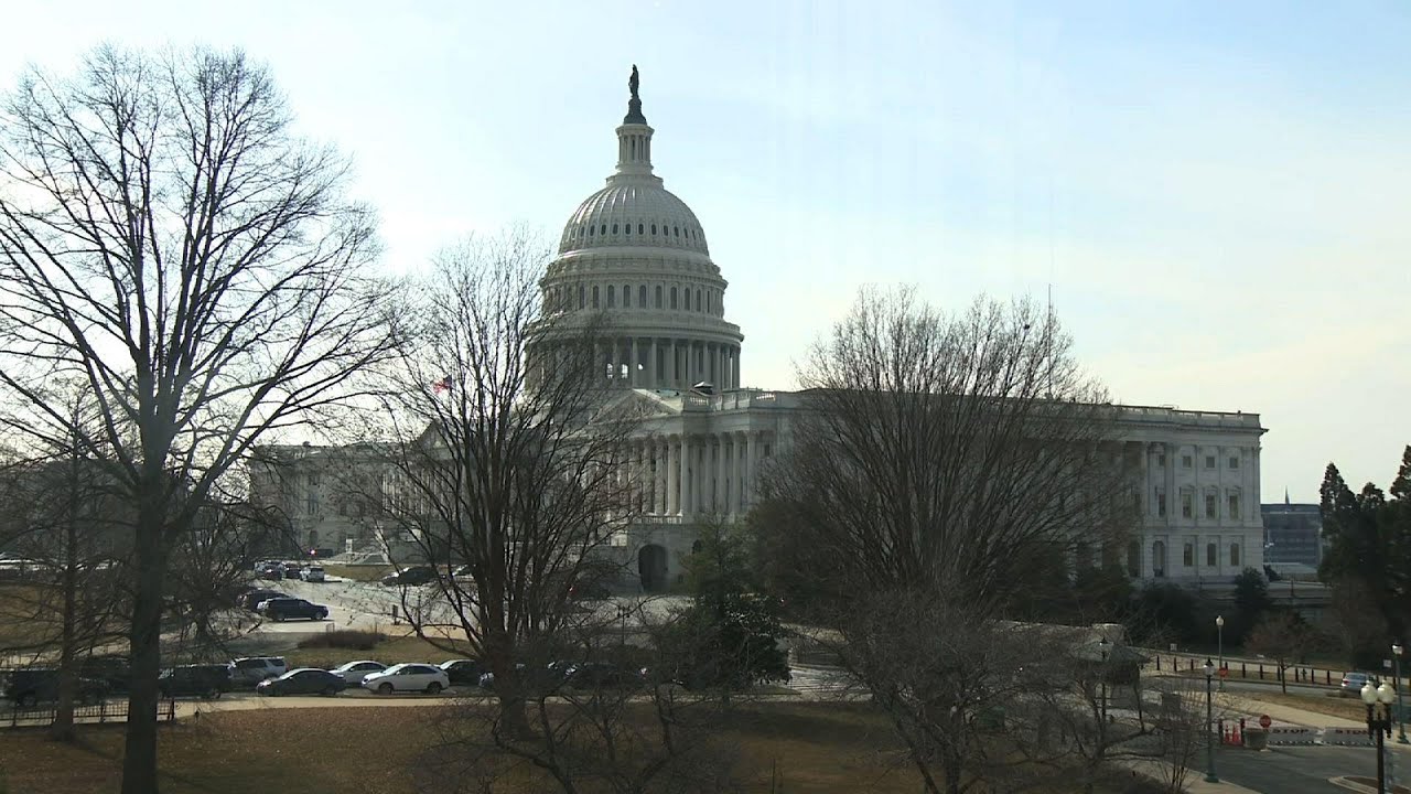 Senate hears Trump's impeachment opening arguments