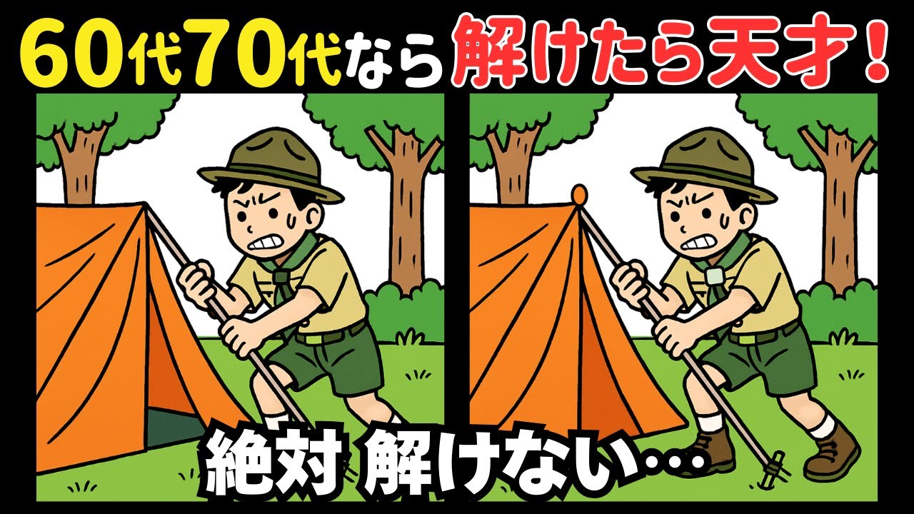 【間違い探し】暇つぶし時間にちょうどいい脳トレ【老化防止】＊今日はボーイスカウトの日 #298