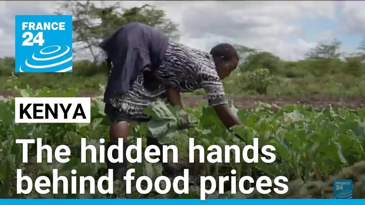 Kenya: how brokers have turned the agricultural economy upside down &bull; FRANCE 24 English