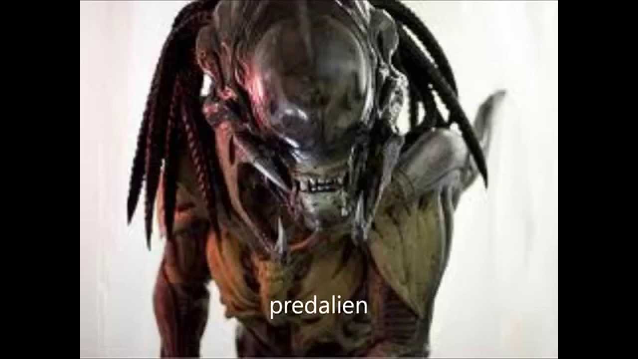 xenomorph types
