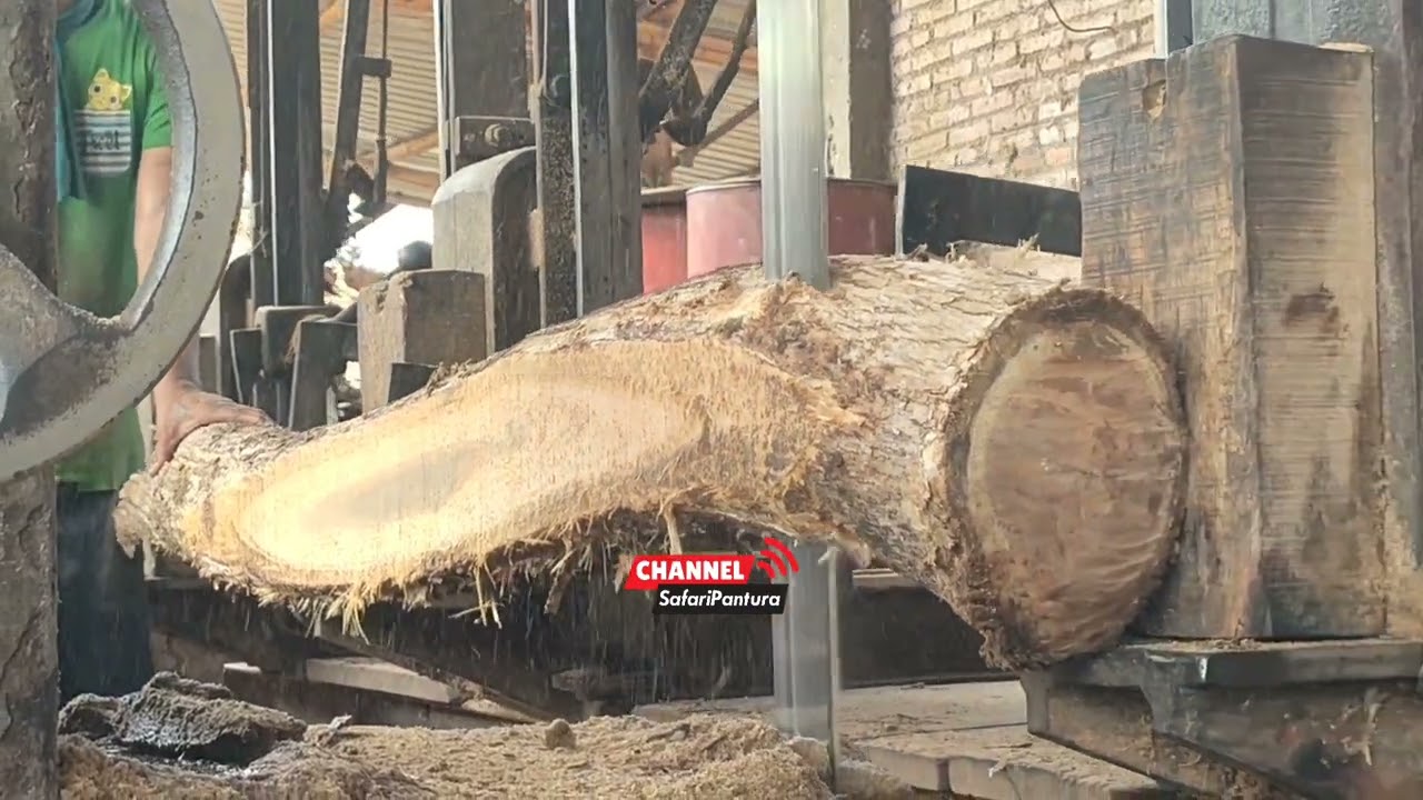 Masih dengan cara Gandengan Teak Wood Sawmill 