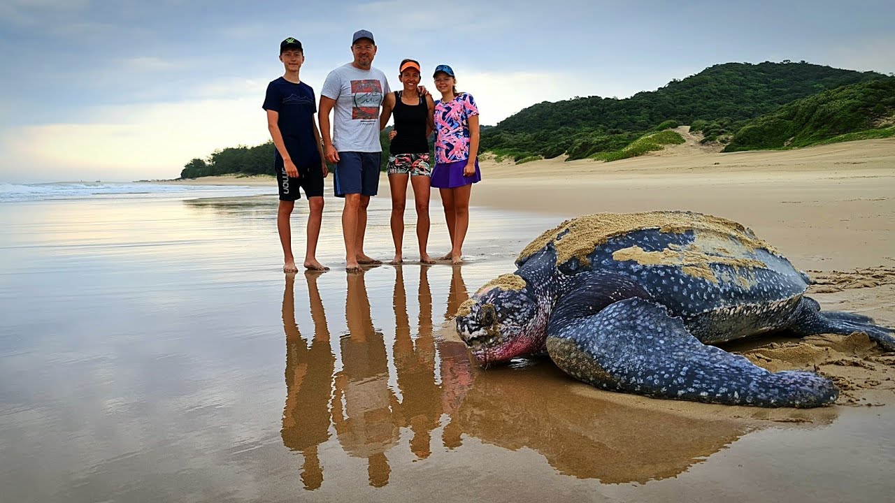Cape Vidal - December 2021