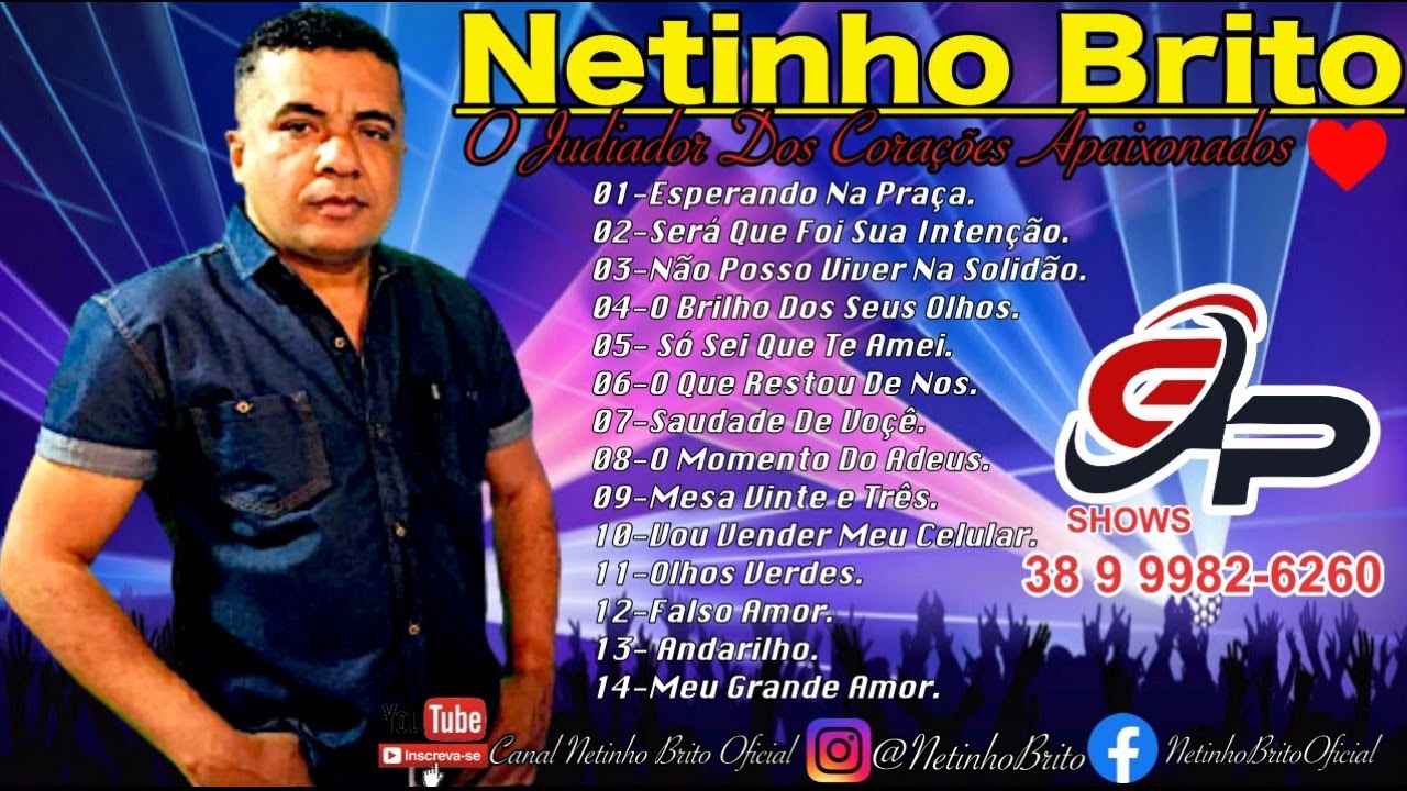 MUSIC NETINHO BRITO BREGÃO DE OURO 2022