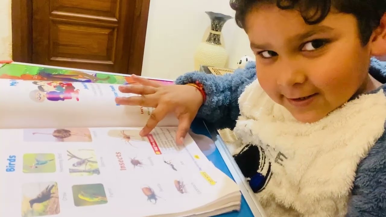 Day 27/100 daily vlog challenge 