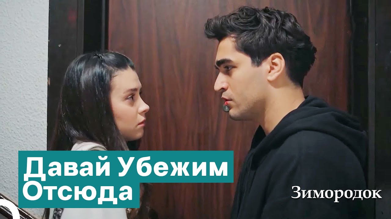 Я Подарил Тебе Сердце, Несмотря На Твою Бездушность... | Зимородок
