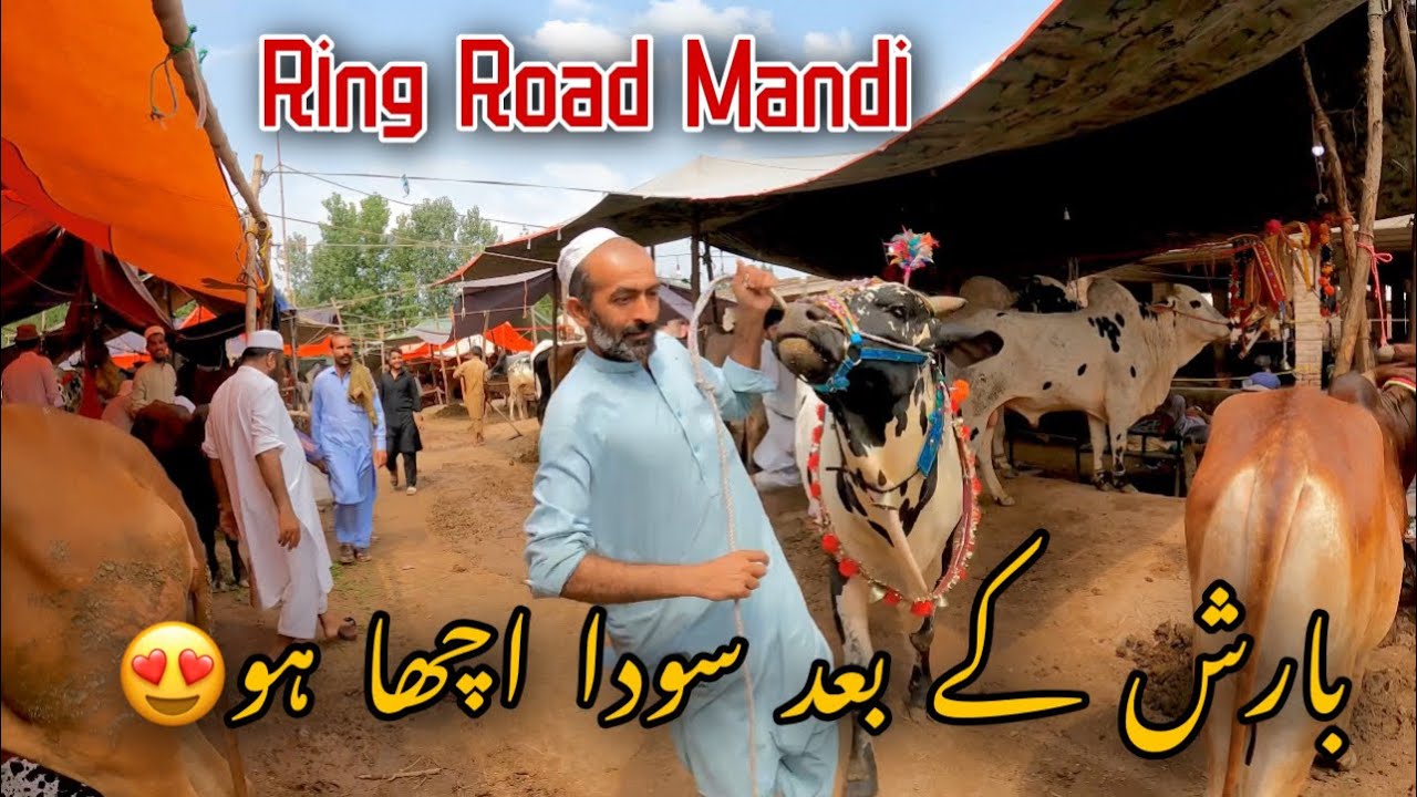Barish Ka Bad Soda Start Hogaya|Ring Road Mandi Peshawar 2023|