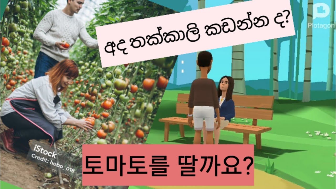 #koriyan විභාගයට ආපු වචන දෙබසකින් මතක තියා ගමු