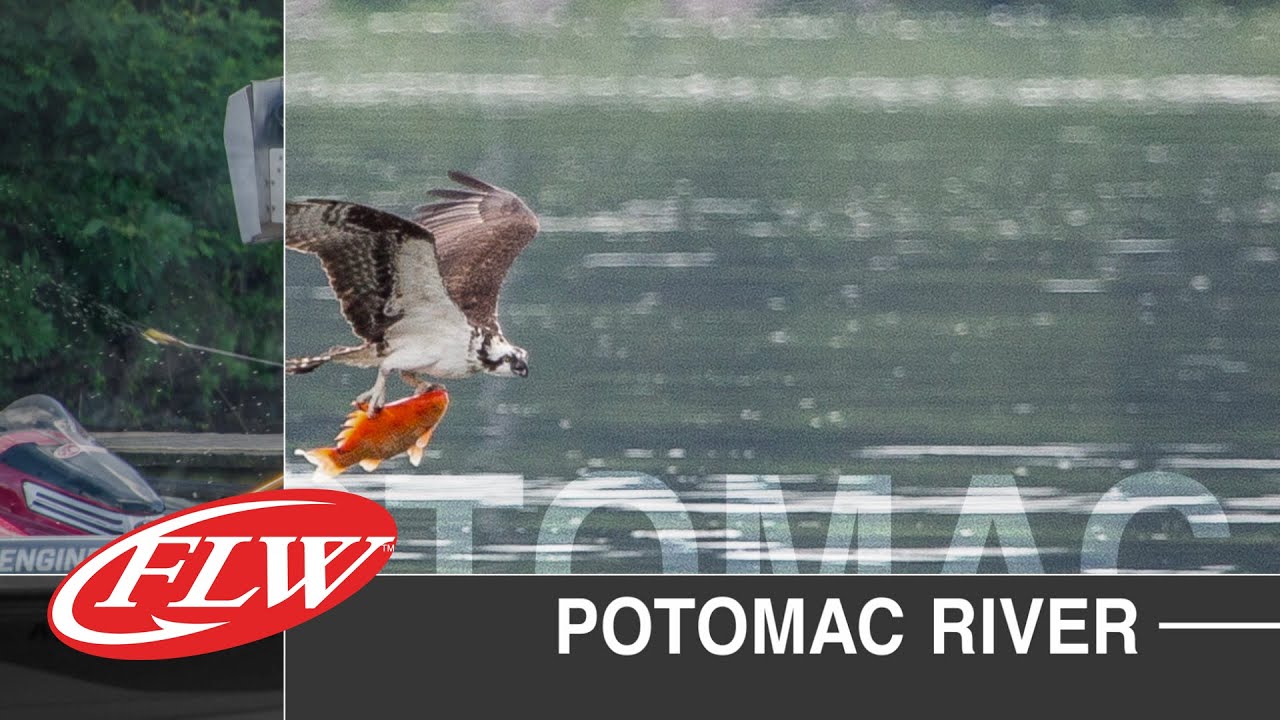 2015 FLW TV | Potomac River