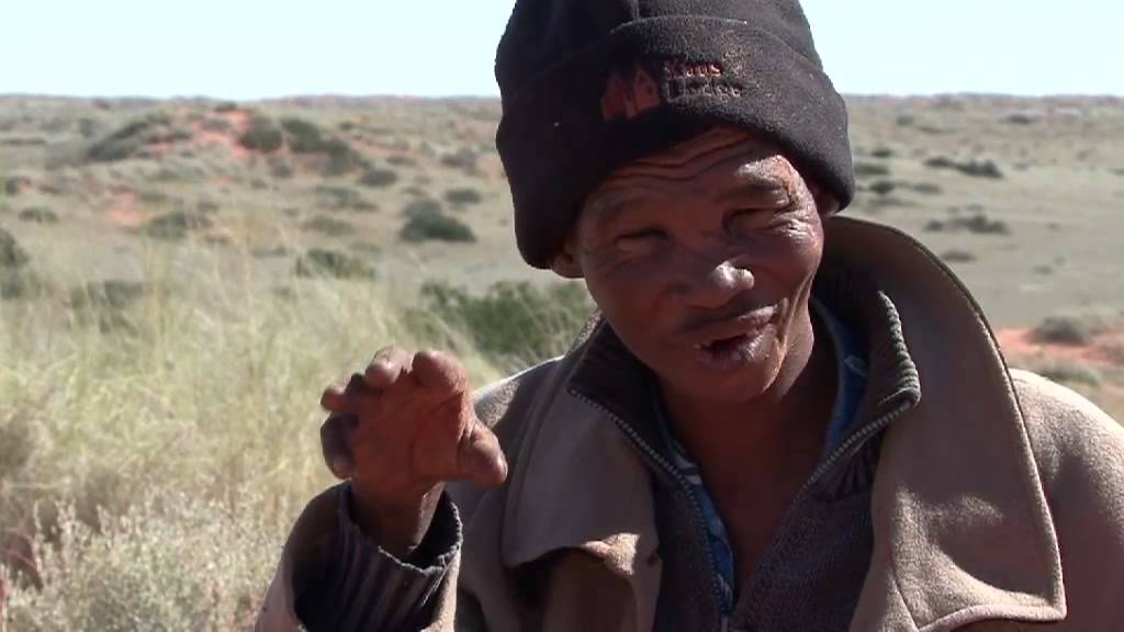 A Bushman Odyssey trailer