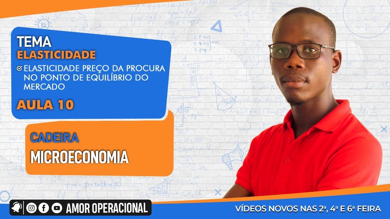 Elasticidade Preço da Procura no Ponto de Equilíbrio do Mercado