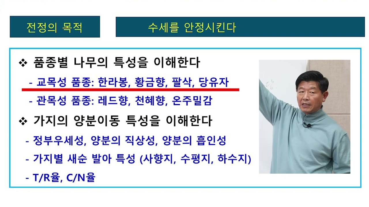 2023년 감귤류 정지전정교육 만감류 이론편