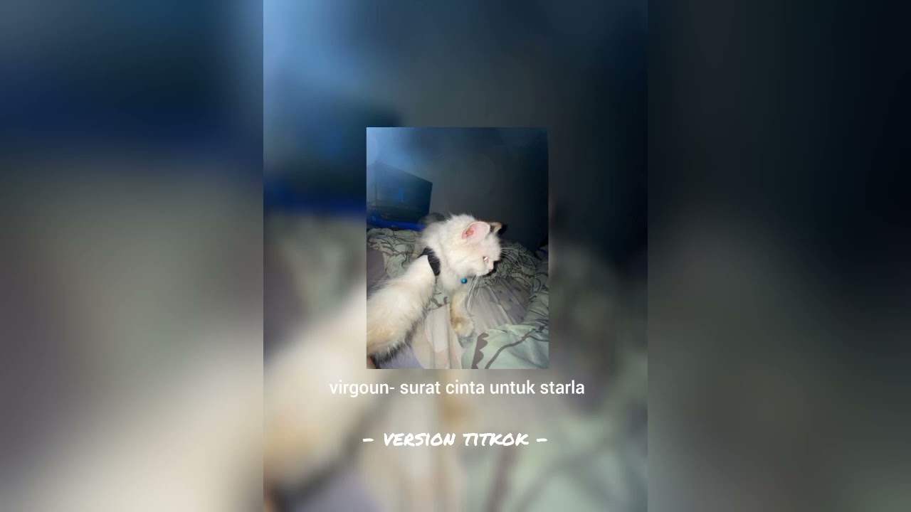 virgoun- surat cinta untuk starla (speed up reverb tiktok version )