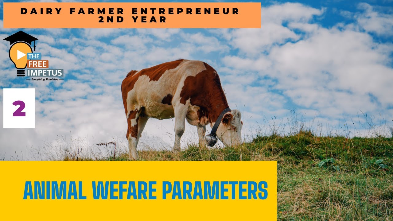2 ANIMAL WELFARE PARAMETERS TO BE FOLLOWED IN A DAIRY FARM FOR COW COMFORT