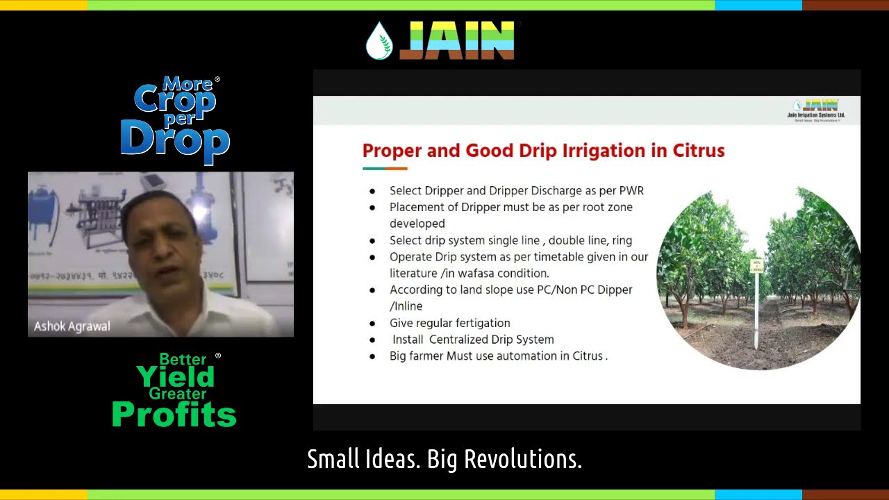 Use of Drip Irrigation On Orange | Maximize Orange Yield