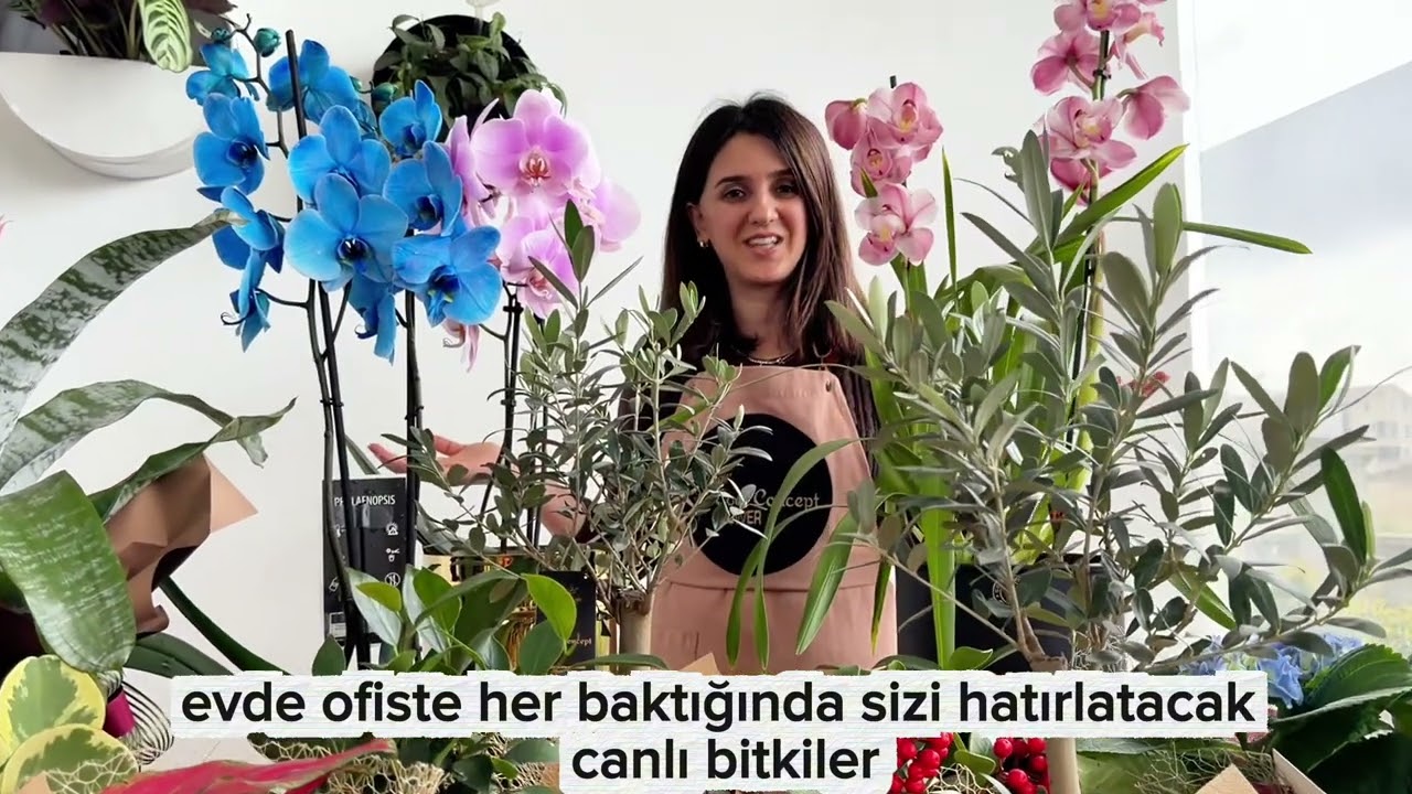 Sevgililer Günü için Yaşayan Hediye Fikirleri | 2026