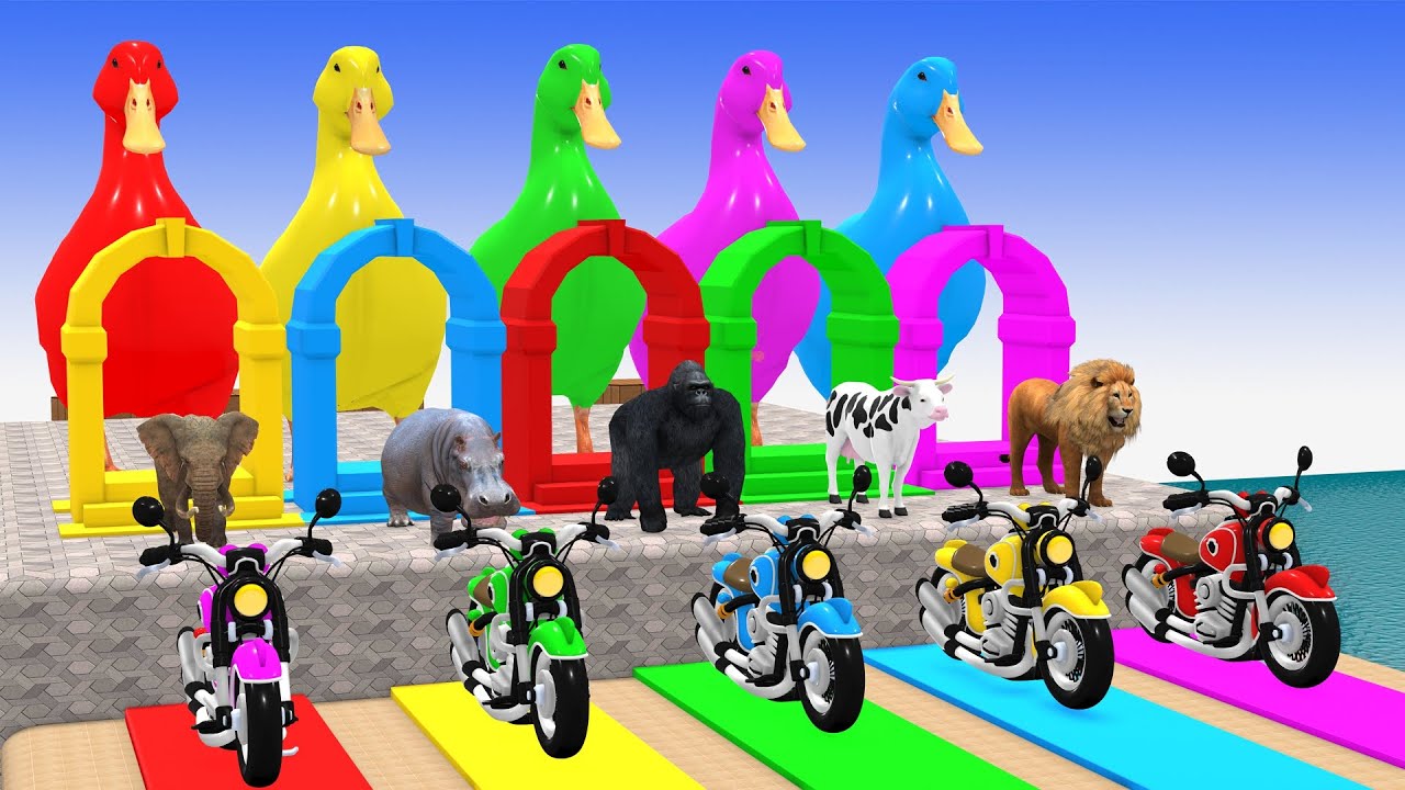 Long Slide Game With Cow Elephant Gorilla Hippopotamus Tiger 3d Animal Game Funny 3d Animals