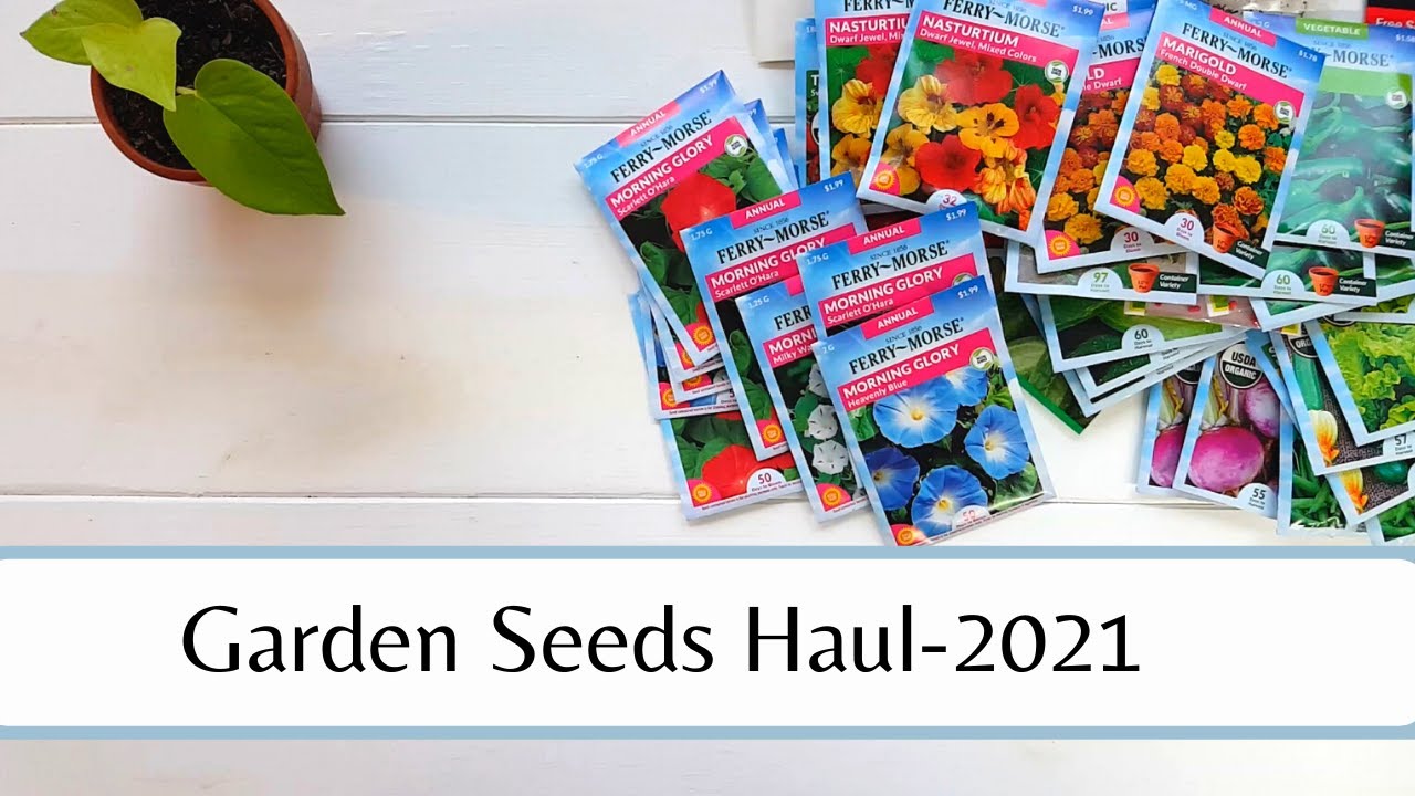 Garden Seed Haul 2021
